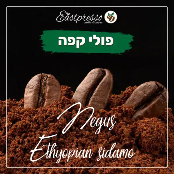 Negus - אתיופי סידאמו